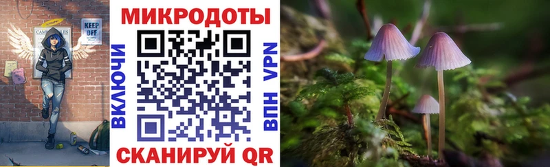Псилоцибиновые грибы Cubensis ссылка на мегу ссылки Россошь наркошоп